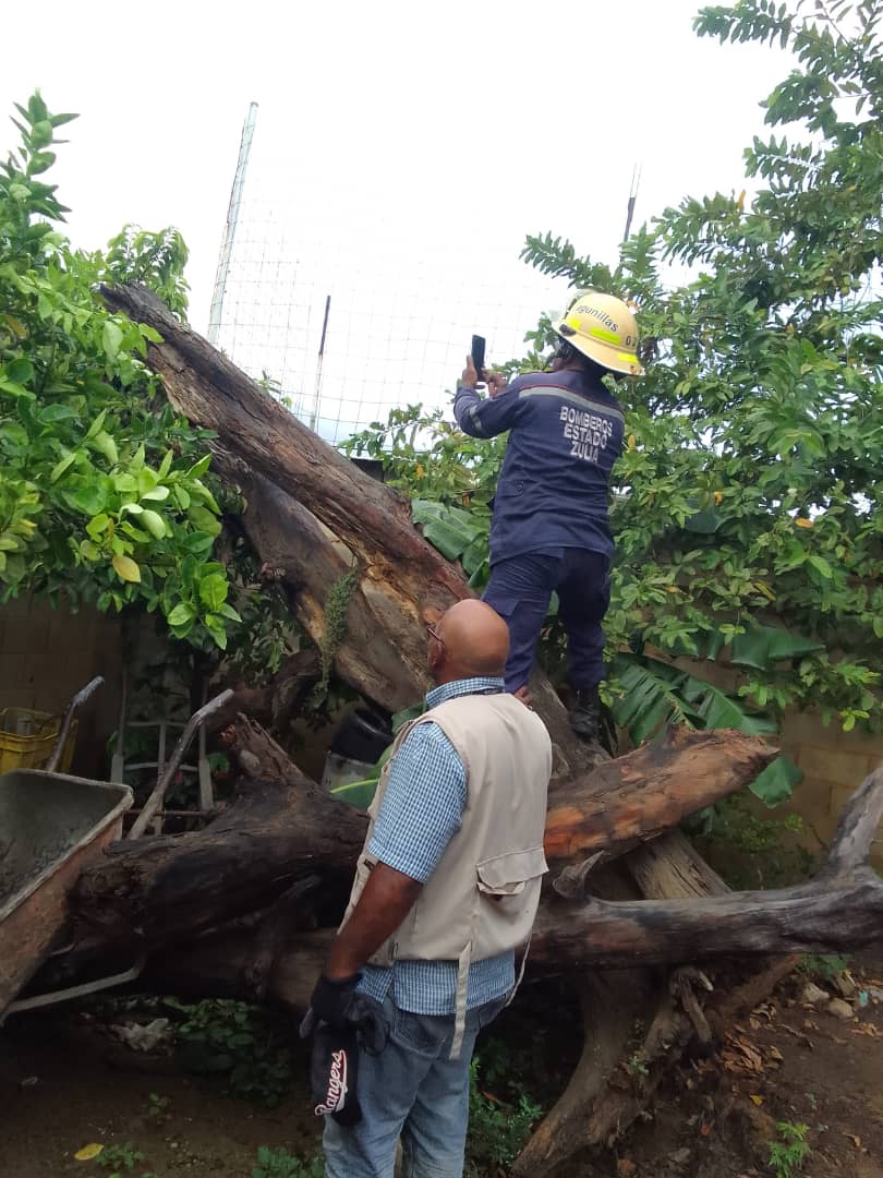Sectores afectados en Lagunillas