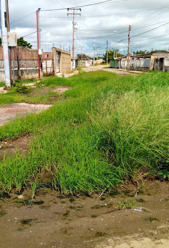 Ciénago calle Táchira