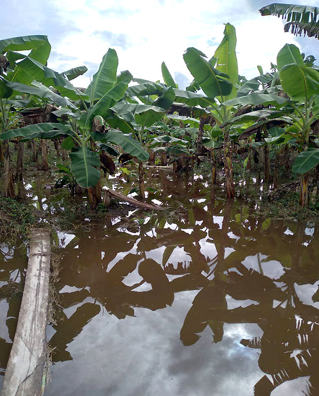 Río Mucujepe