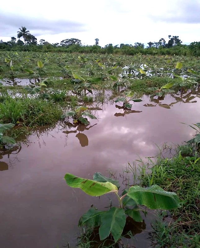 Río Mucujepe
