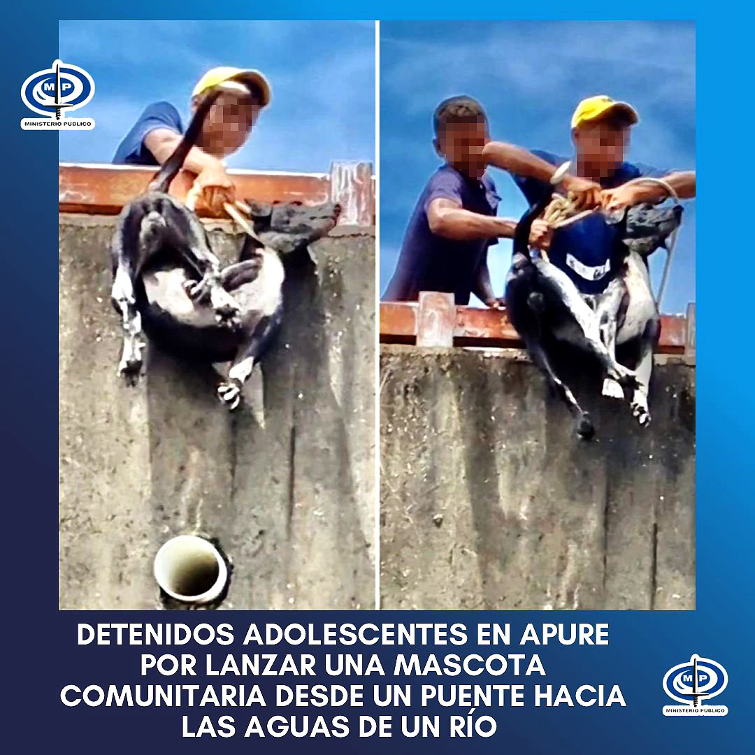 Maltrato animal