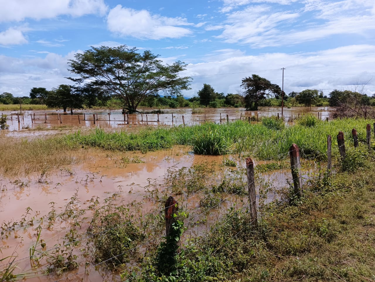 Río burro negro 