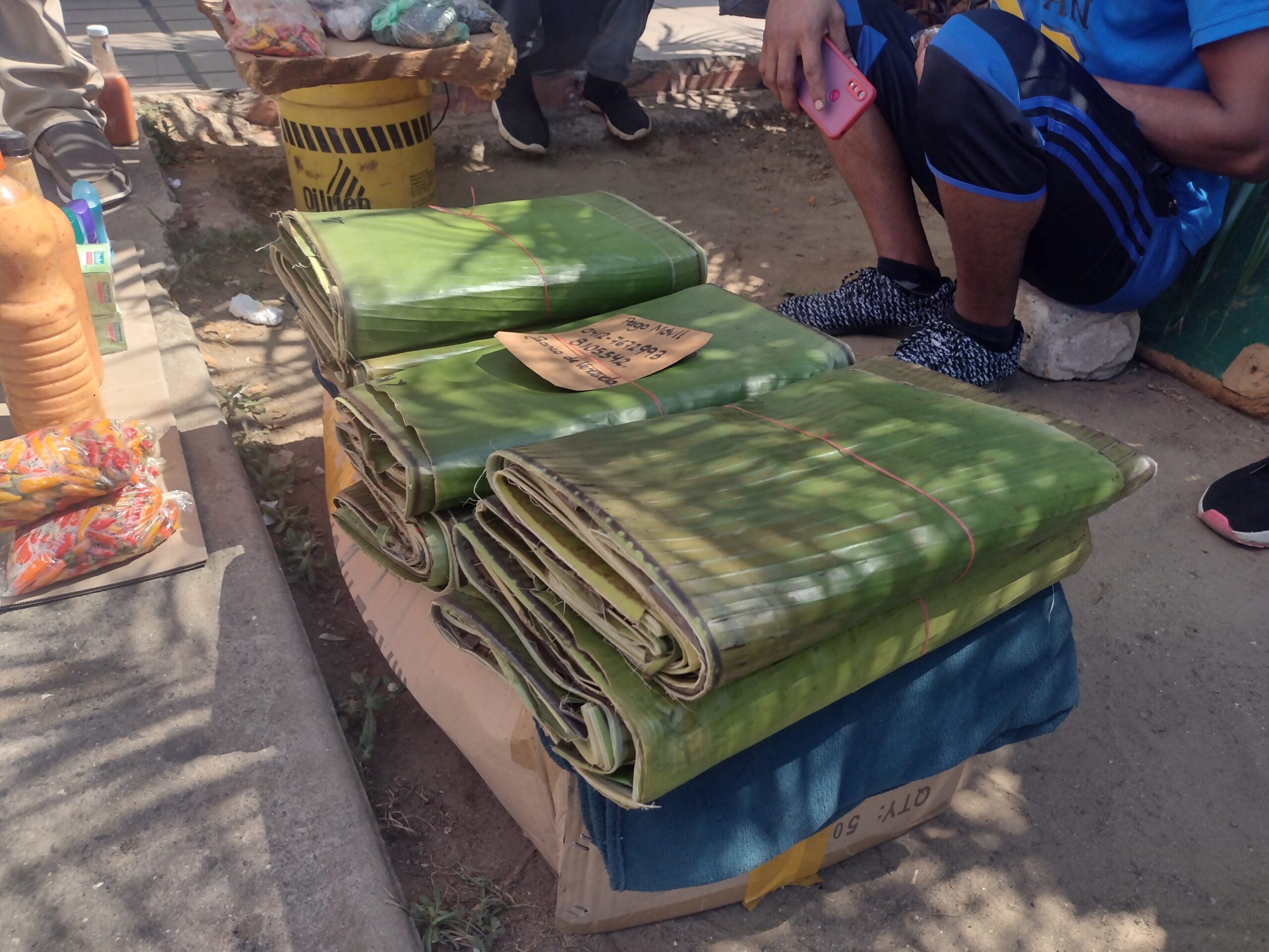 Hoja de plátano para hallaca en Lagunillas