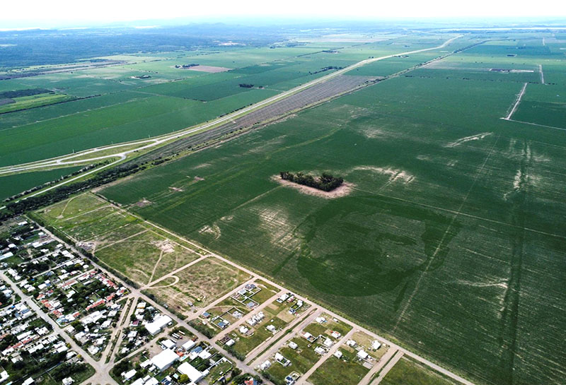 Campo Messi