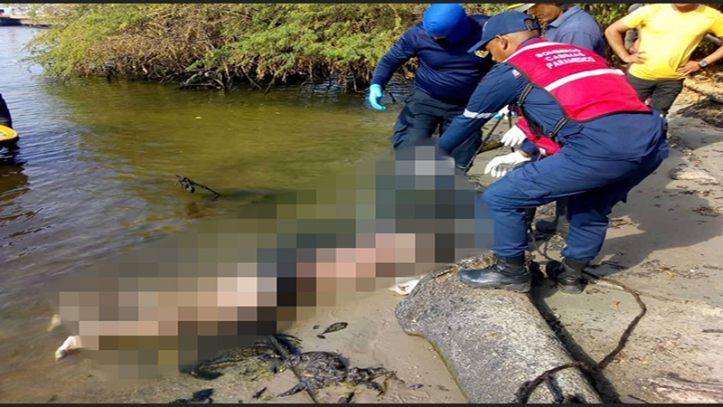 Localizan cadáver a orillas del lago en Cabimas