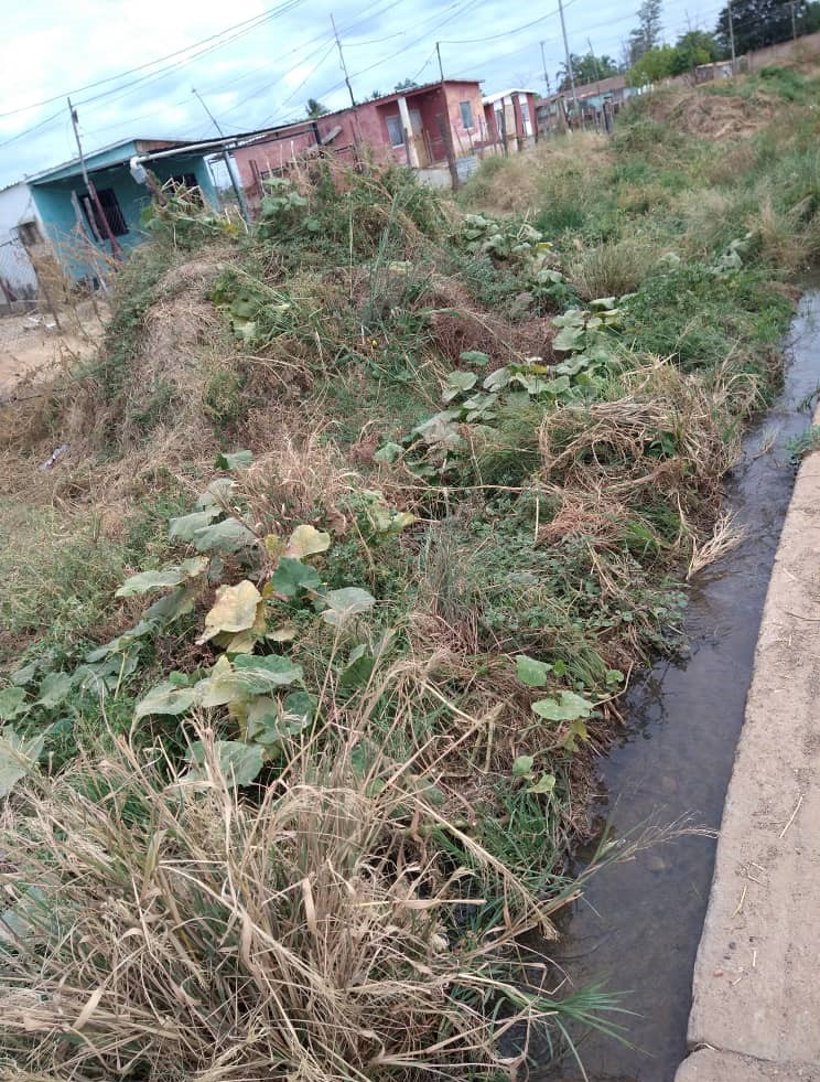 Habitantes del barrio Francisco de Miranda 