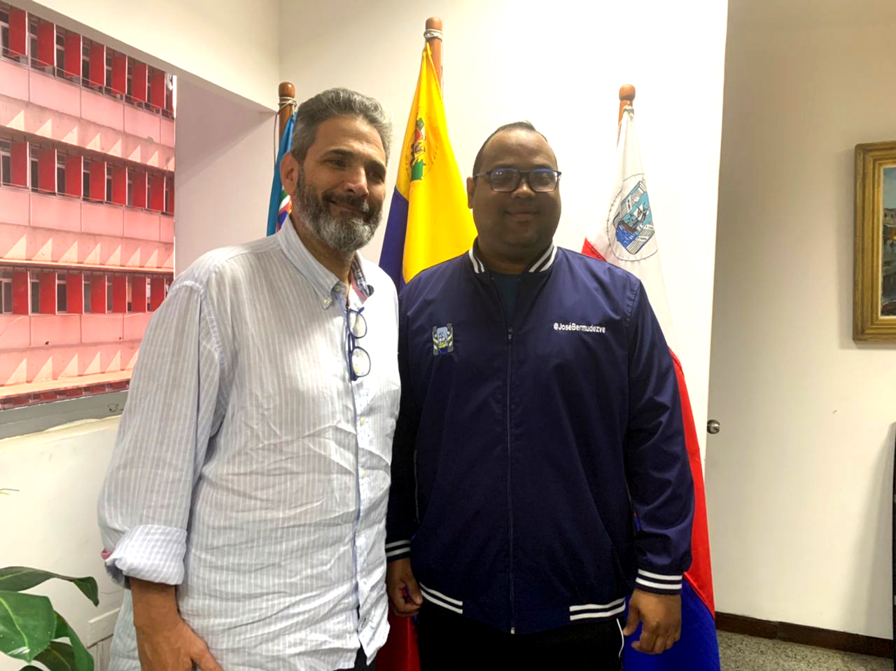 José Bermúdez Reformas de Ordenanzas