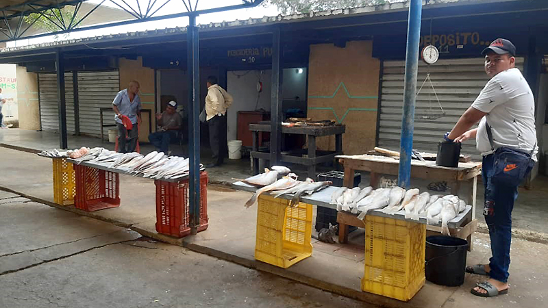 Estos son los precios del pescado previo a la Semana Santa