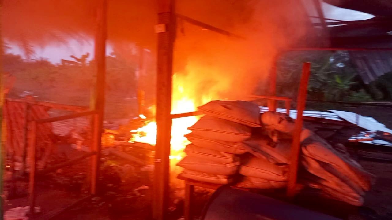 FANB desmantela campamento de droga cerca de la frontera con Colombia