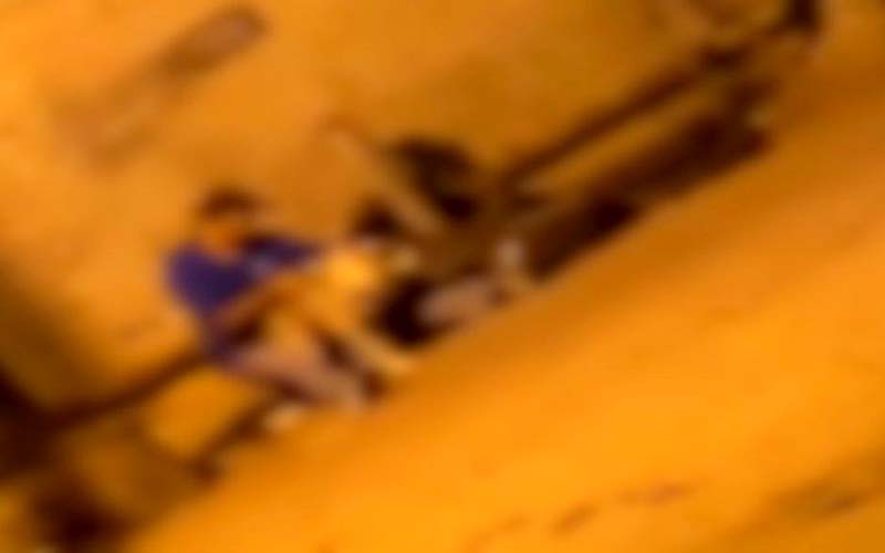 Aprehendieron a sujeto que violó de una perrita en Lara