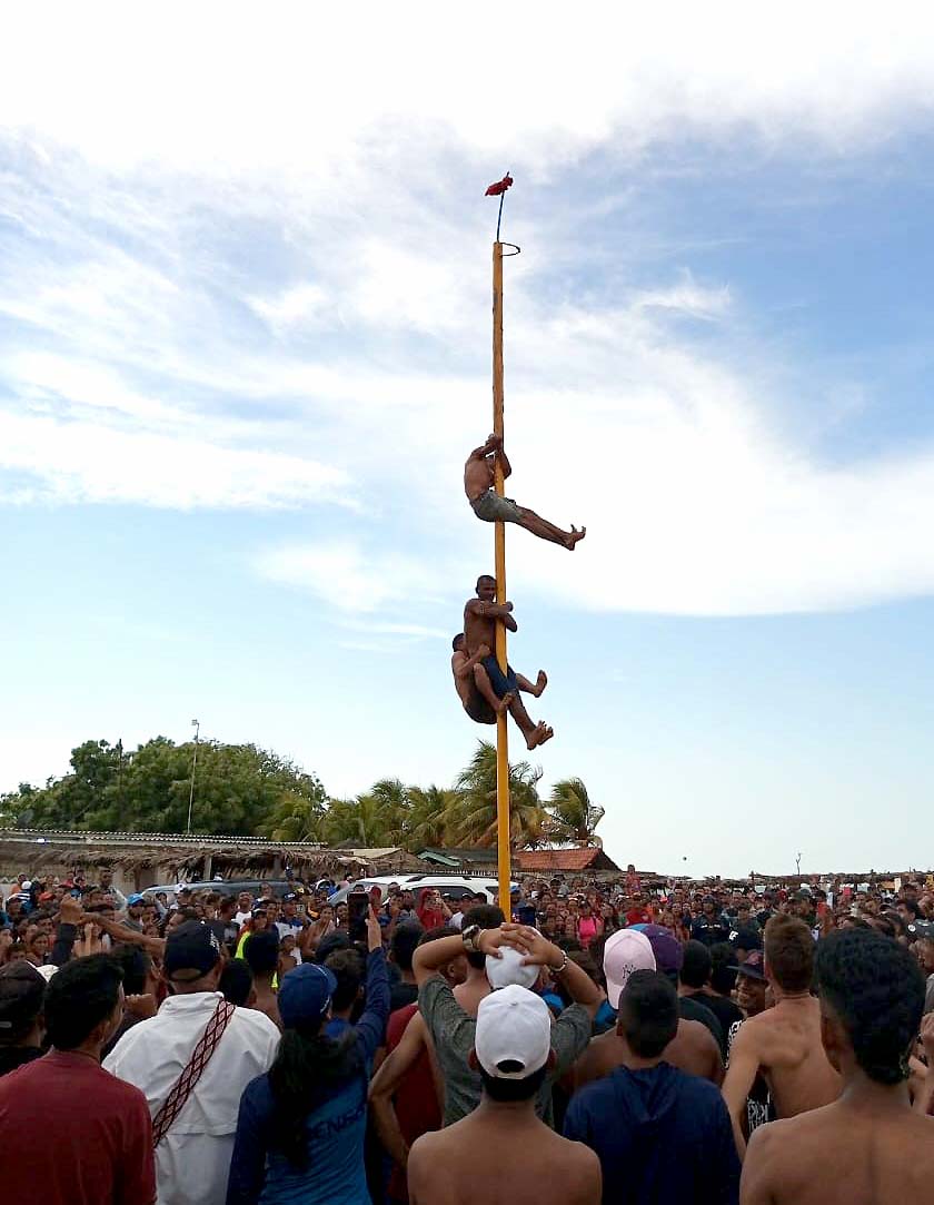  Palo Ensebao