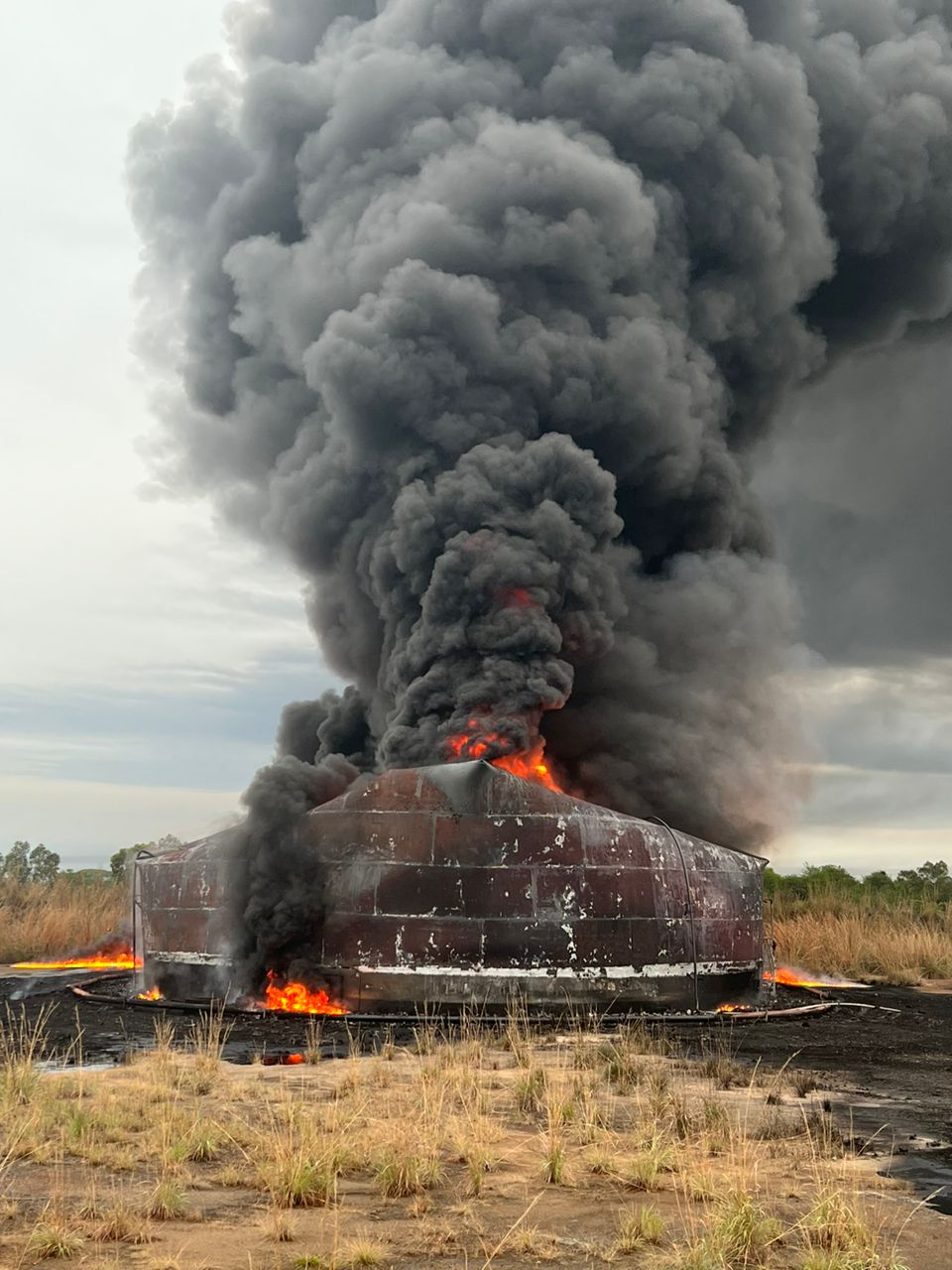 40 bomberos 