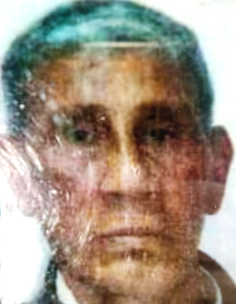 Abejas mataron a abuelo que se quedó dormido 