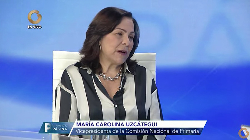 Comisión de Primarias sobre apoyo técnico del CNE