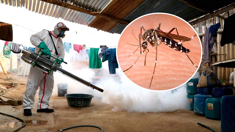 Dengue en Perú ya deja más de 168 000 