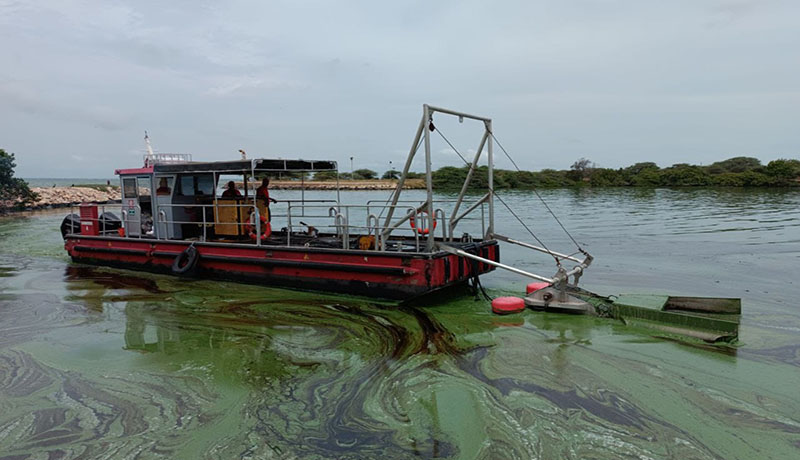 Petróleos de Venezuela (Pdvsa) continúa con el plan de saneamiento en la Costa Occidental del Lago de Maracaibo, para lo cual ha desplegado todos los recursos técnicos y humanos necesarios en el cumplimiento de las tareas.