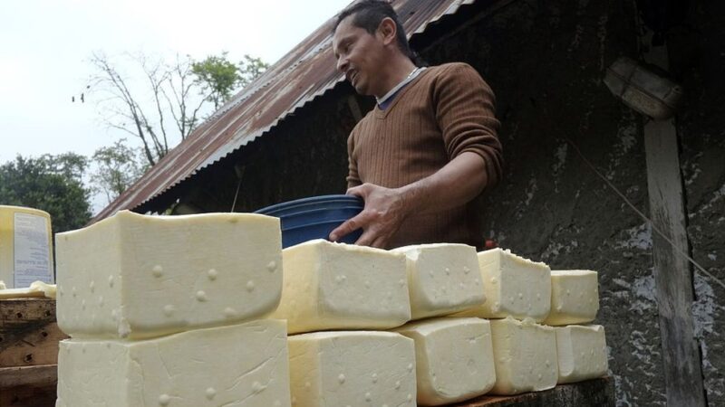 Producción de quesos en el país es excelente y podría empezarse a exportar  - El Regional Del Zulia