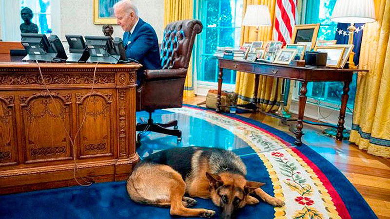 El perro de Biden es echado de la Casa Blanca