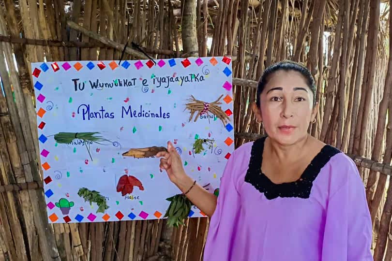 Lanzado Plan Conuco Escolar en el Zulia