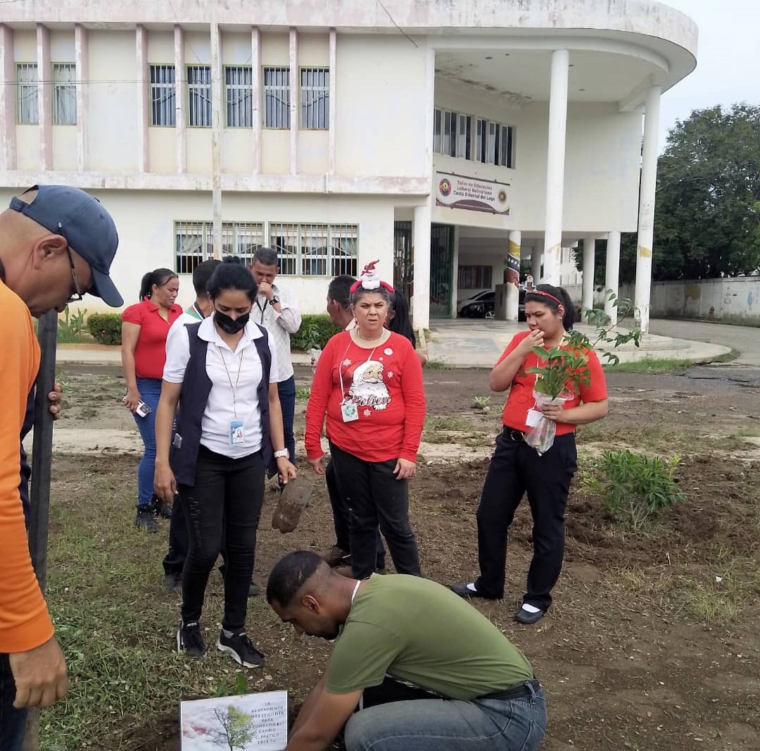 Navidad Ecológica Telbcol