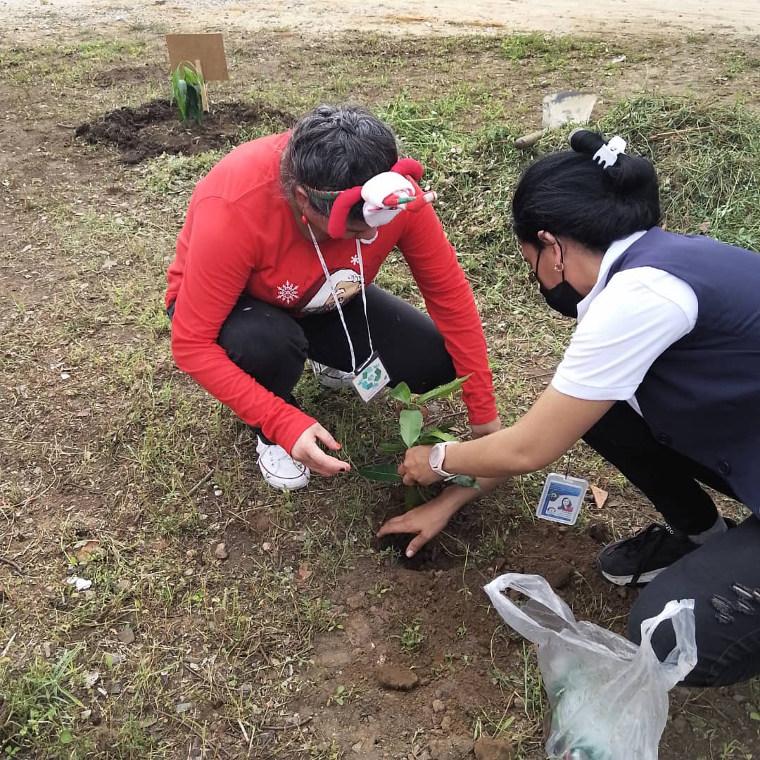 Navidad Ecológica Telbcol