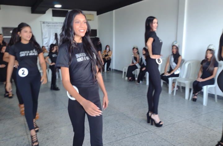 Certamen de organización de modelos col