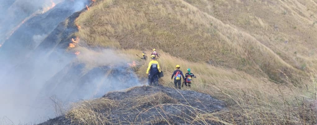 Incendio consume parque nacional Henri Pittier