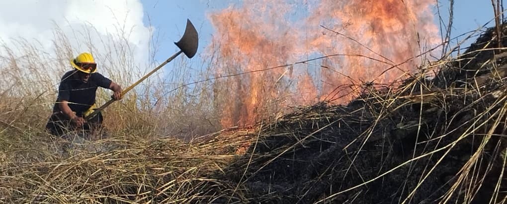 Incendio consume parque nacional Henri Pittier