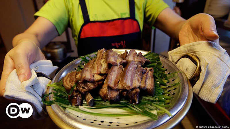 Parlamento de Corea del Sur prohíbe el comercio de carne de perro