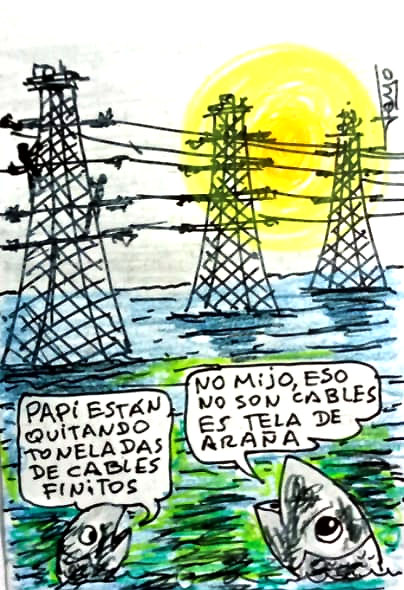 Será pava, mabita, mala suerte o la muy criolla expresión de "mala leche" la que nos persigue a los zulianos