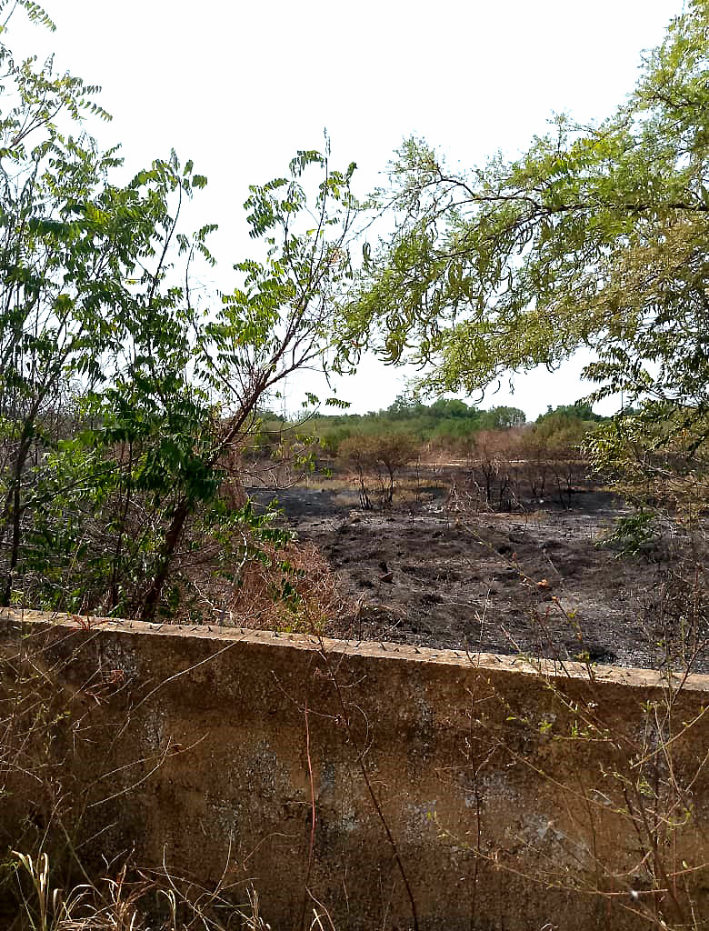 Rotura de guaya de alta tensión Puerto Escondido