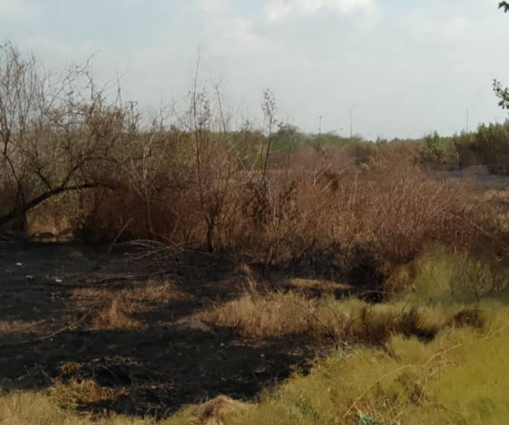 Incendio cerca de subestación eléctrica de Santa Rita deja sin electricidad a Puerto Escondido
