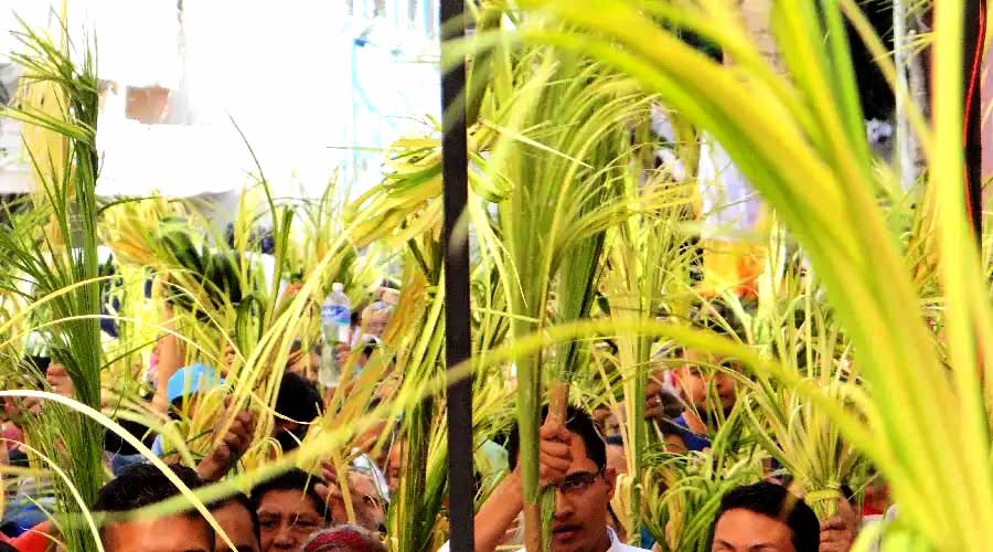Domingo de Ramos