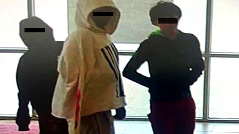 Dos niños de 11 y 12 años y un joven de 16 atracaron un banco en EE UU