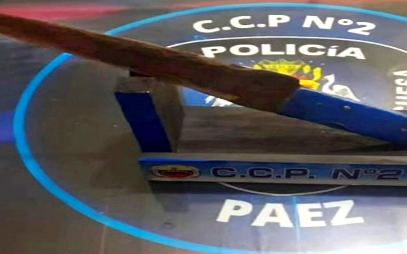 Mató de certera puñalada