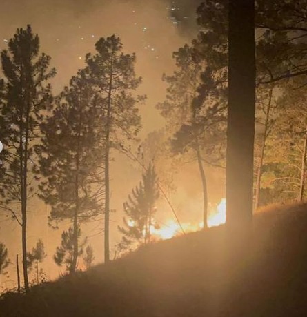 Bomberos, FANB y Protección Civil combaten incendio forestal en Mérida