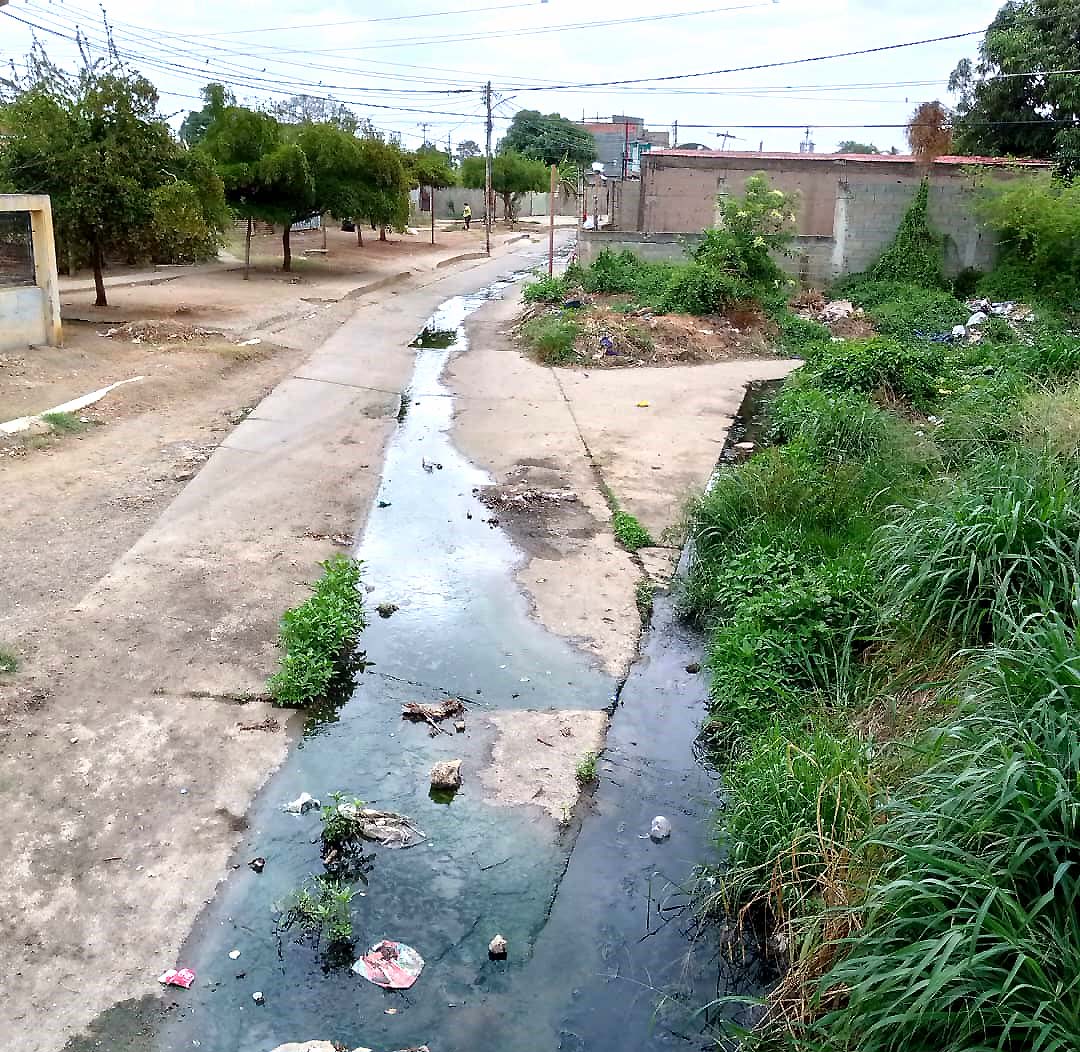 Ciénaga del sector Tierra Negra