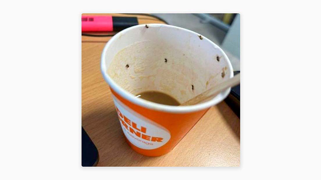 Hospitalizan a una mujer tras beber café con insectos