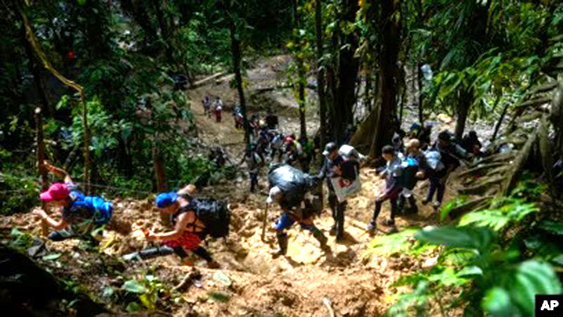 174 000 personas han cruzado la selva del Darién 