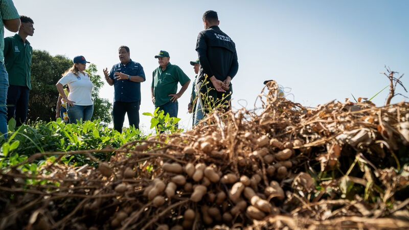 El Sueño del Maní es una realidad Maracaibo celebra el cuarto saque de 2024 en El Polvorín (2)