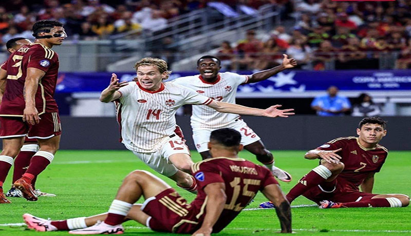 LA VINOTINTO