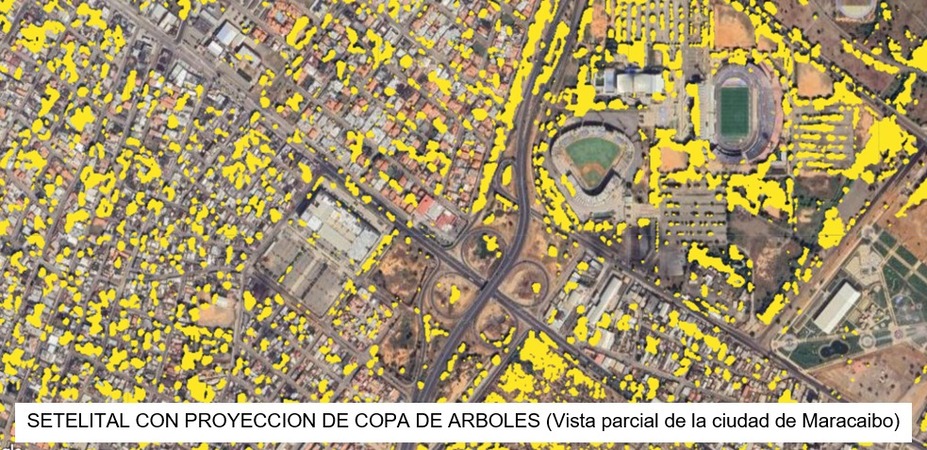microbosques urbanos (2)