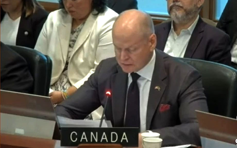 CIDH expuso ante la OEA la grave represión en Venezuela