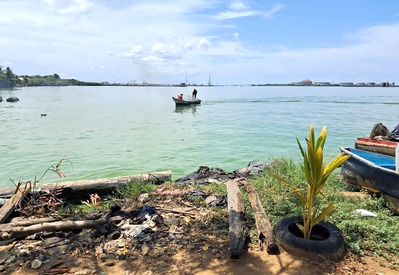 Derrames de crudo y el verdín en el lago 