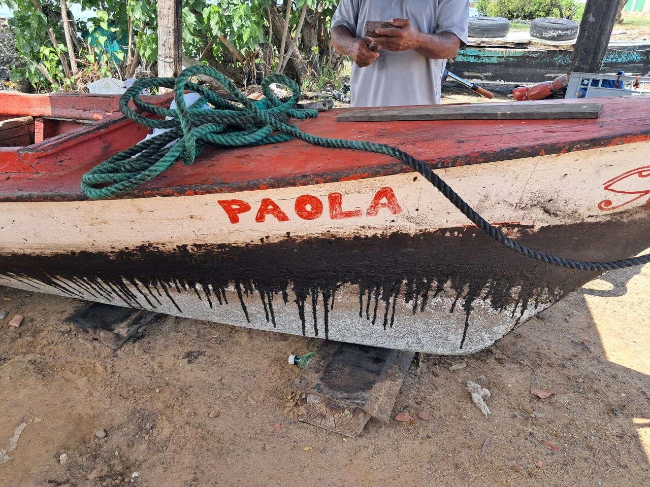 Derrames de crudo y el verdín en el lago 