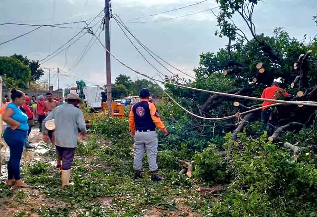 114 atenciones brindó la Dirección de Protección Civil en Miranda