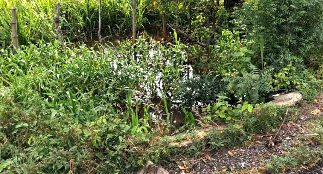 Alcantarilla cedió en la carretera San Pedro-Lagunillas