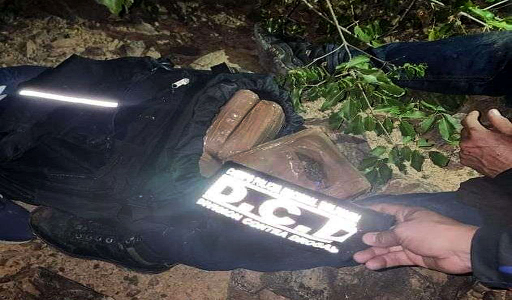 PNB capturó a un hombre con 29 panelas de marihuana