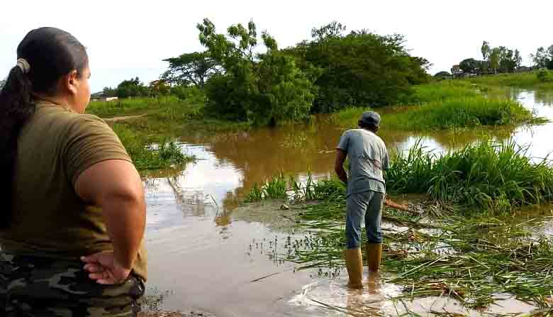 Sectores La Icotea y La Lamparita de Bachaquero 