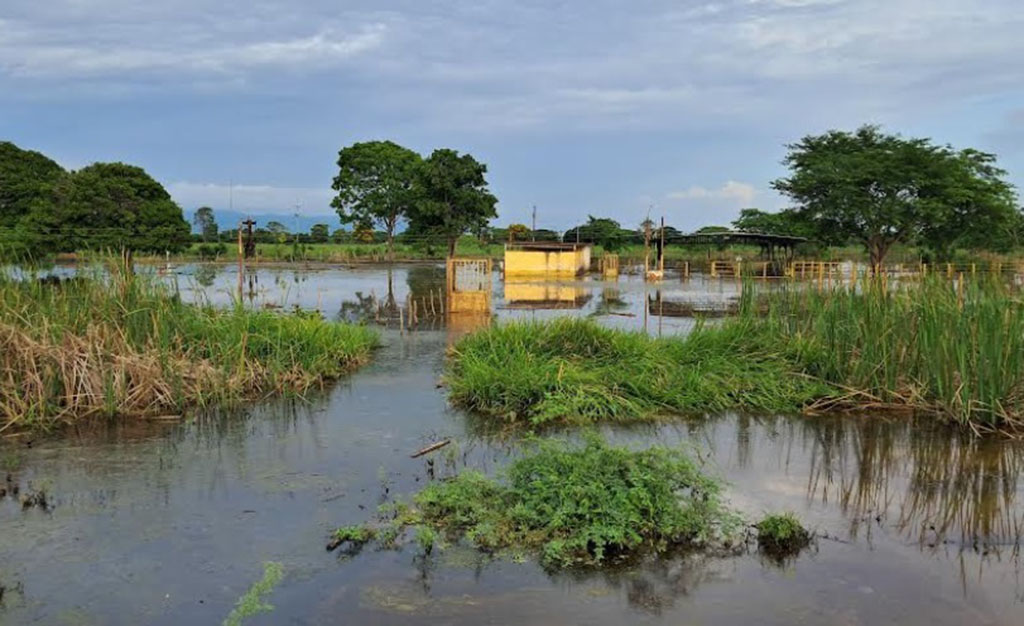 Vecinos de La Icotea y La Lamparita de Bachaquero están riesgo de inundaciones